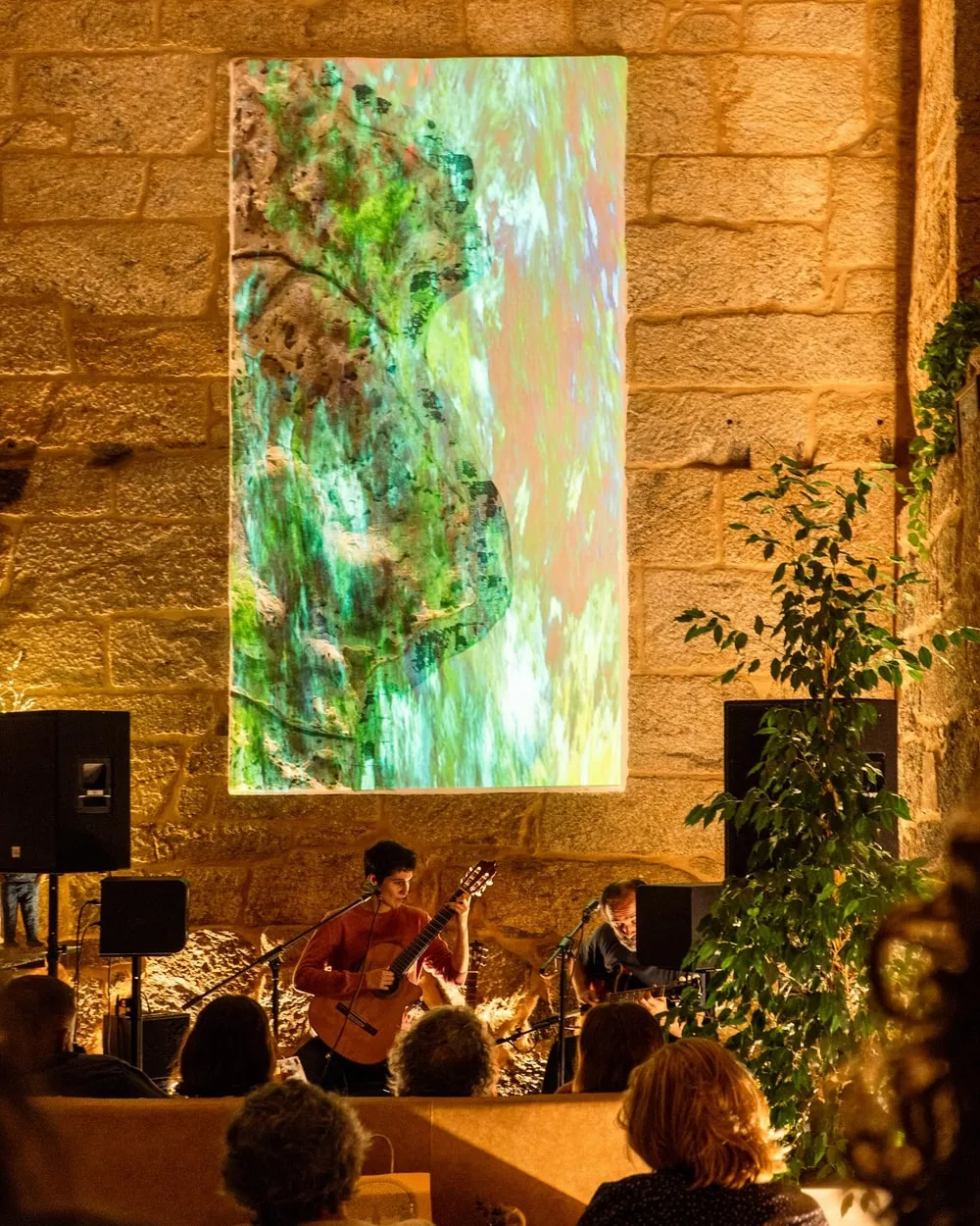 Guitarrista tocando bajo una proyección de vegetación verde sobre el muro de granito
